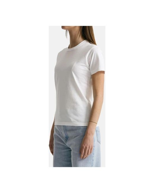 Grifoni Gray T-Shirts