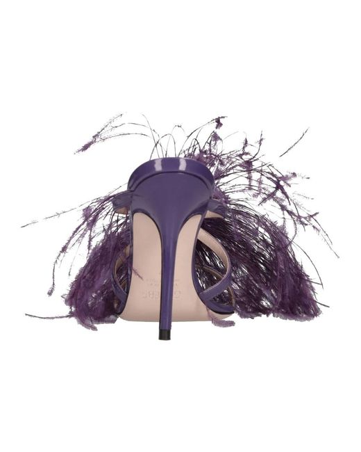 Gedebe Purple Gedebe