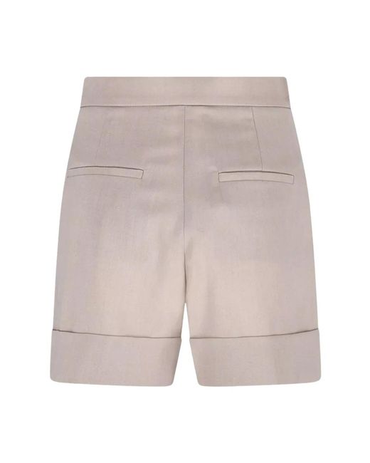 Max Mara Gray Casual Shorts