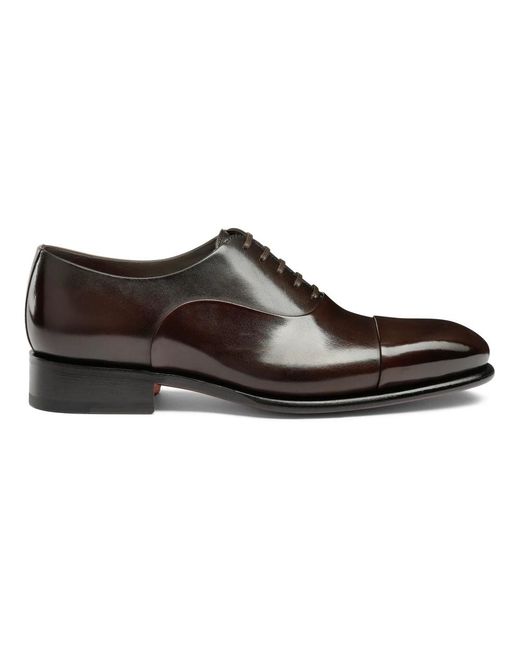 Santoni Brown Business Shoes for men
