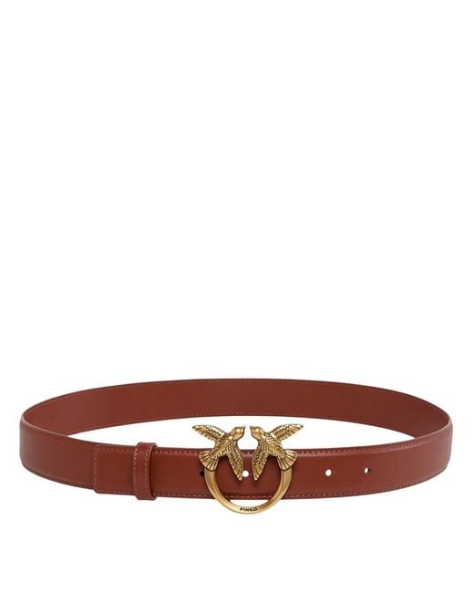 Pinko Brown Pinko