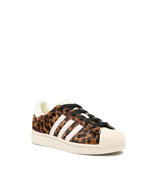 Adidas Fitness ,Bruin ,Leer Superstar Ii in het Brown