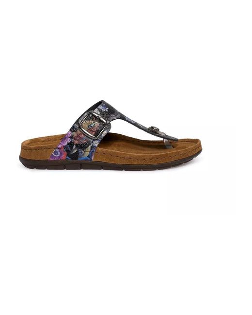 Flat sandals Rohde de color Brown
