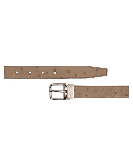 Dolce & Gabbana Brown Belts for men