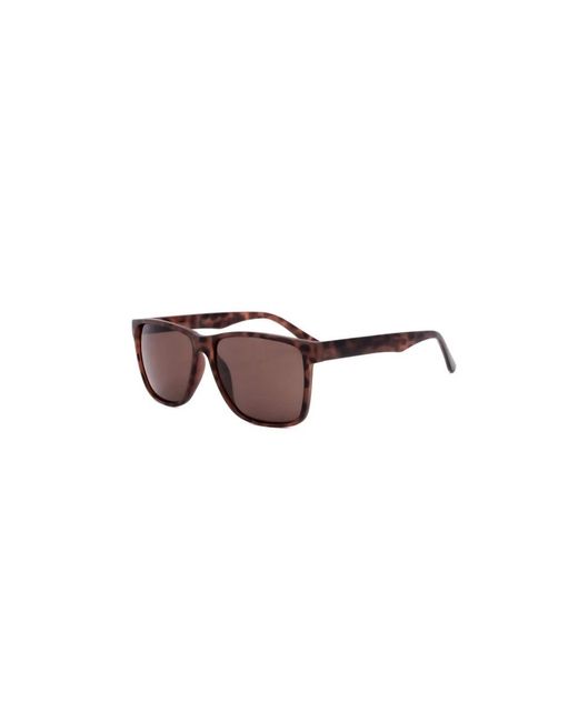 Calvin Klein Brown Sunglasses for men