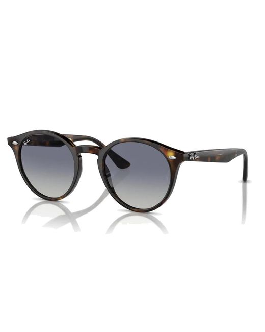 Ray-Ban Gray Sunglasses