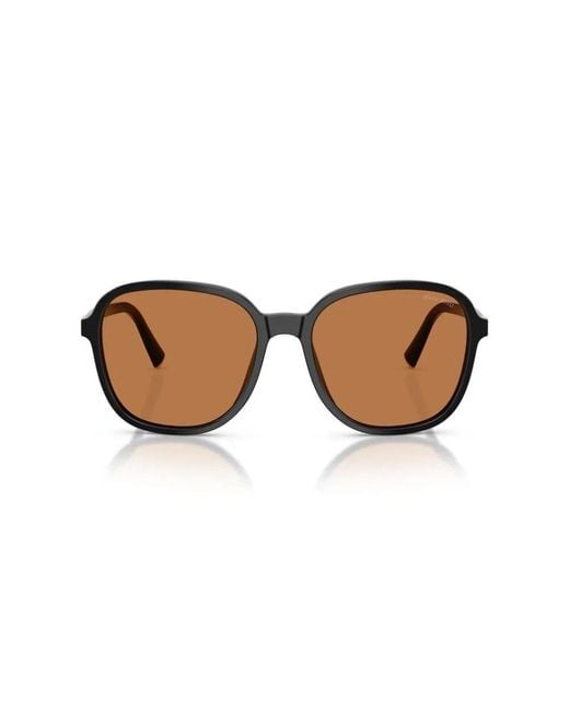 Miu Miu Brown Sunglasses