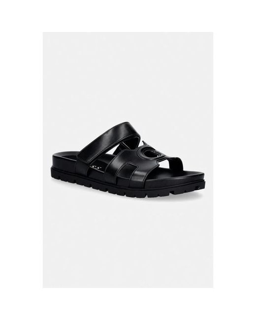Sliders Guess de color Black