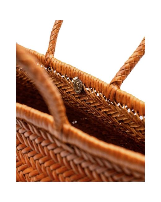 Handbags Dragon Diffusion de color Brown