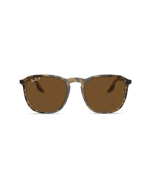Ray-Ban Brown Sunglasses