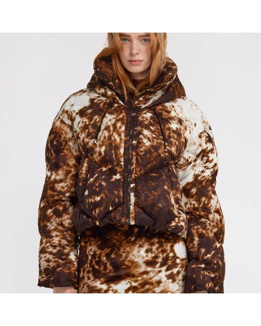 Roberto Cavalli Brown Winter Jackets