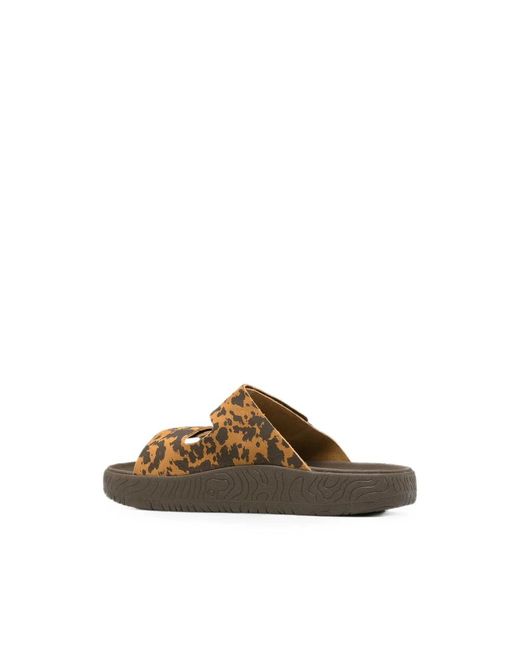 Sliders Veja en coloris Brown