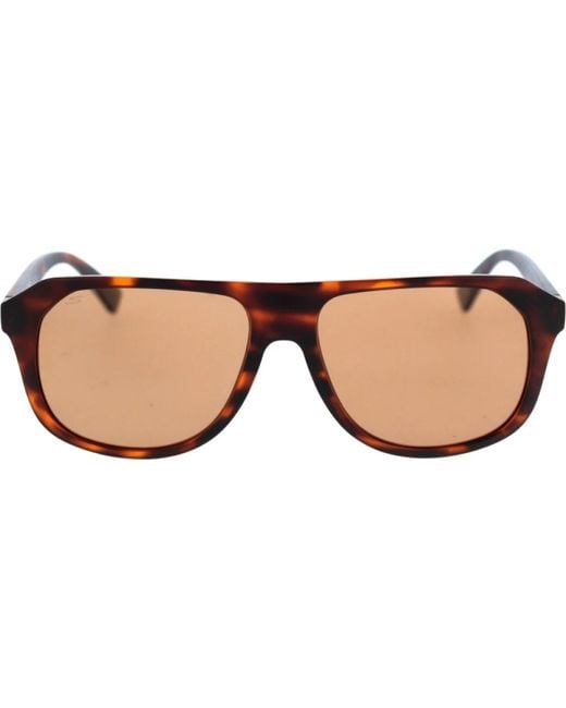 Serengeti Sonnenbrille in Brown für Herren