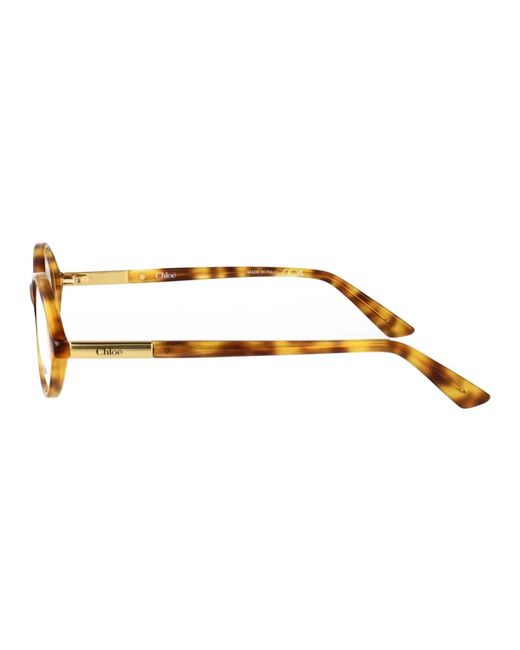 Chloé Brown Glasses