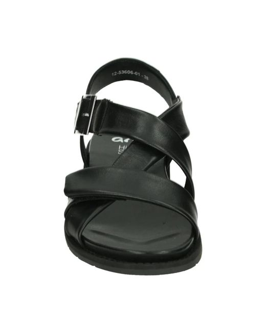 Ara Black Elba-S