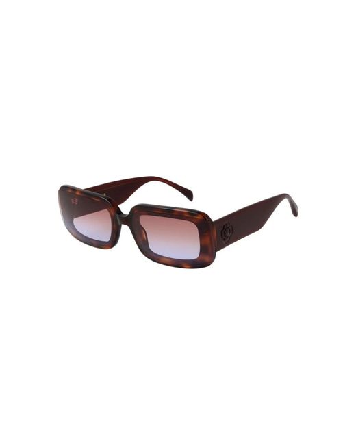 Sunglasses di Maje in Brown