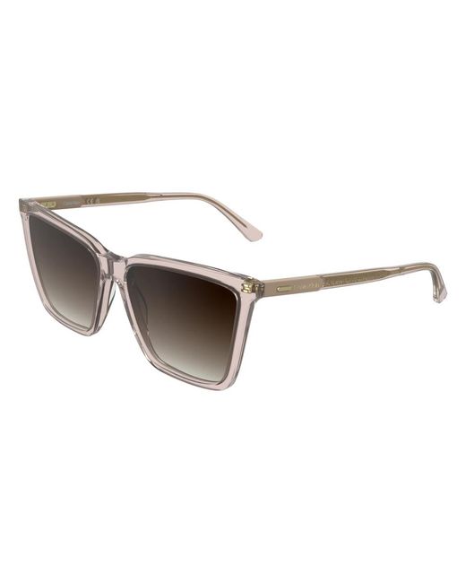 Calvin Klein Brown Sunglasses