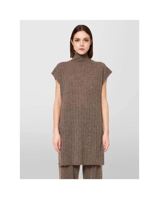 Alpha Studio Brown Turtlenecks