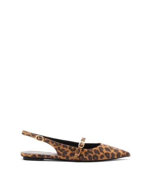 Stuart Weitzman Brown Ballerina Shoes