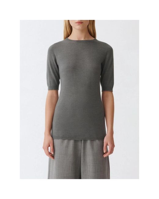 Fabiana Filippi Round-Neck Knitwear in het Gray