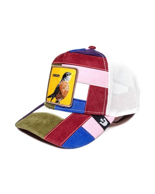 Goorin Bros Multicolor Caps for men