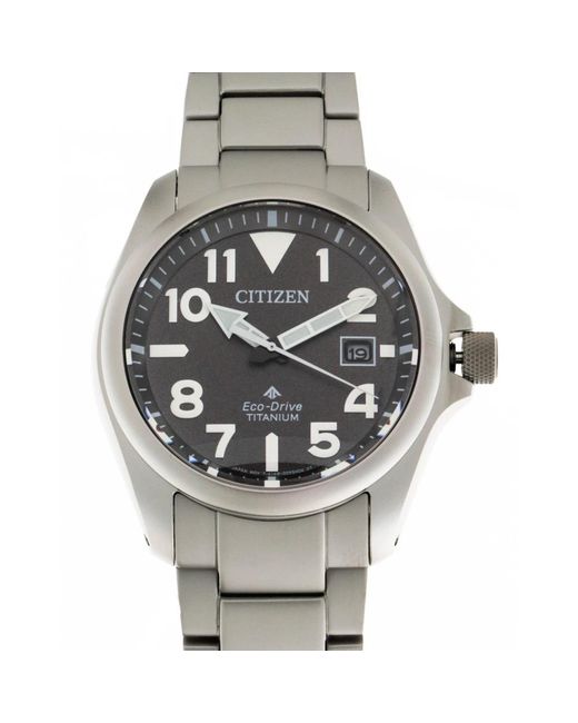 Citizen Metallic Watches