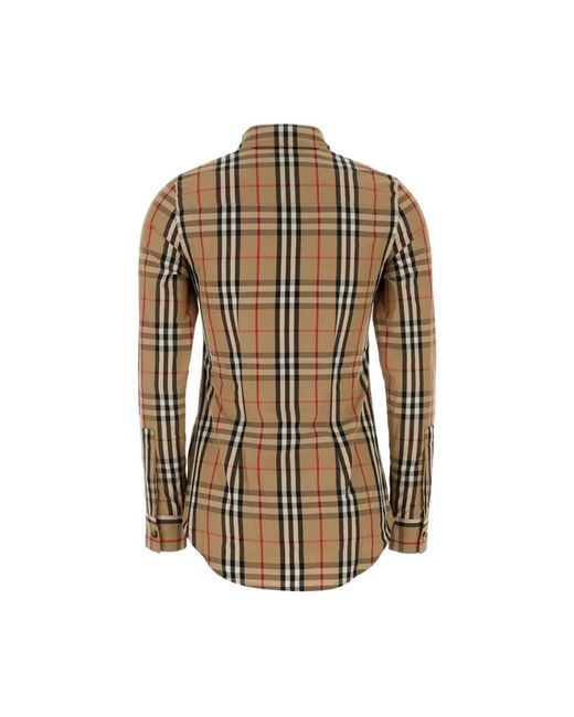 Burberry Brown Shirts