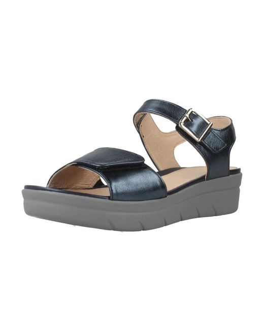 Stonefly Wedges in het Blue