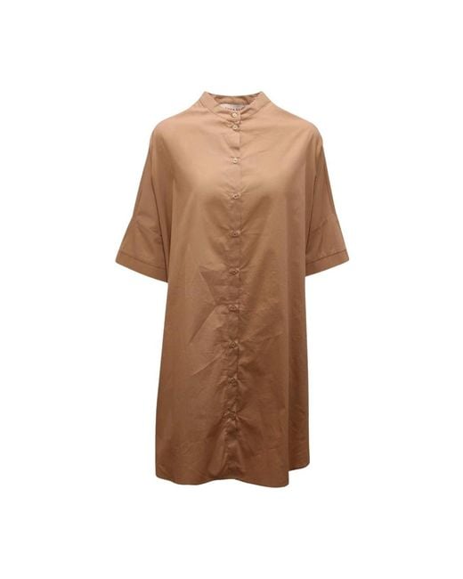 EMMA & GAIA Brown Shirt Dresses