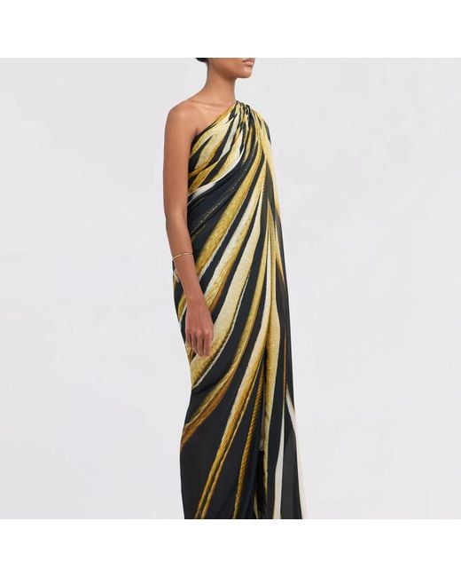 Roberto Cavalli Multicolor Gowns