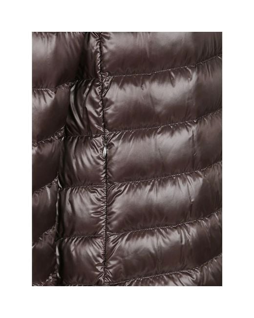Herno Brown Down Coats