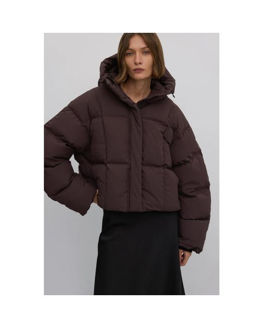 ESTRO Jassen ,Bruin ,Polyester Korte Donkerbruine Gewatteerde Jas Voor Vrouwen Met Hoge Kraag Voor De Winter Er 00117989 in het Black