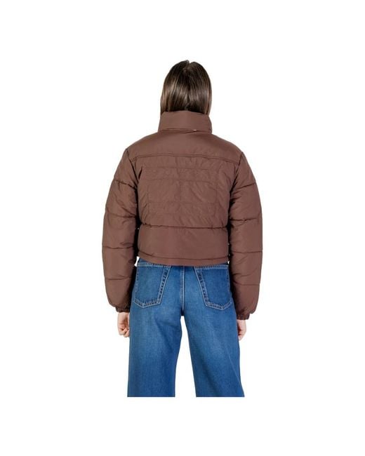 Tommy Hilfiger Brown Winter Jackets