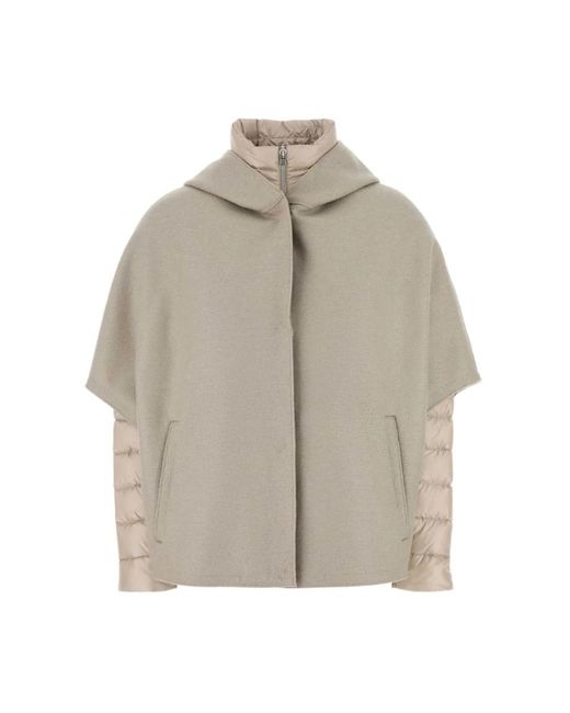 Herno Winter Jackets in het Gray