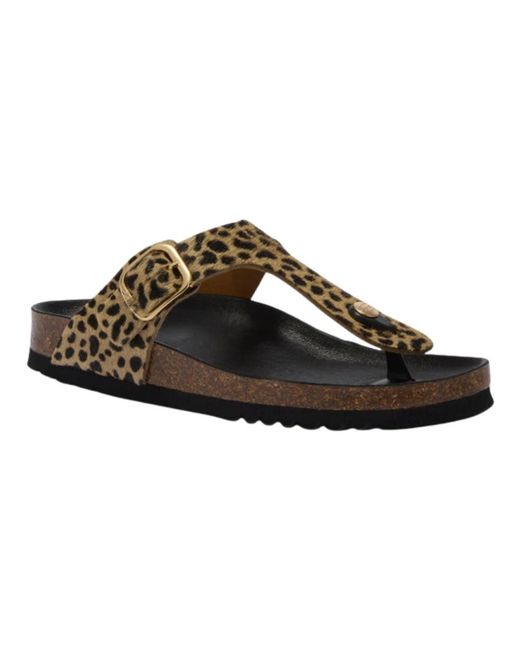 Scholl Brown Anais Flip-Flops