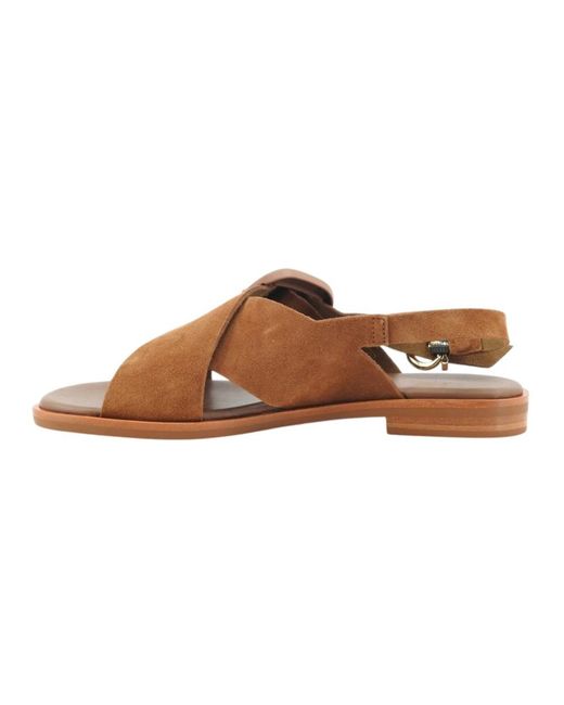 Frau Brown Flat Sandals