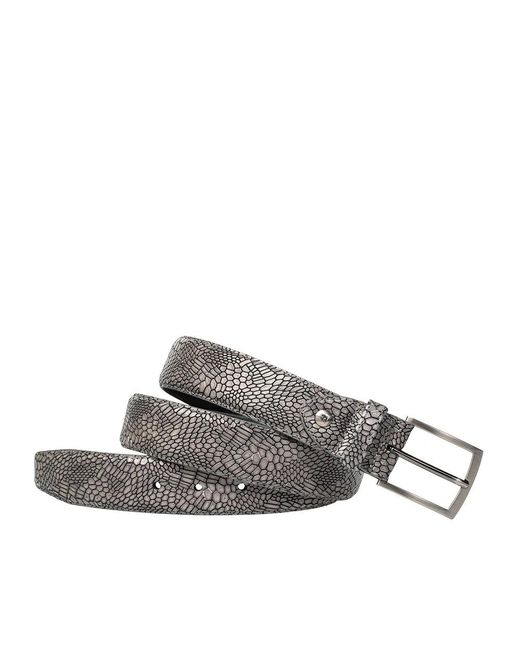 van Bommel Gray Gürtel