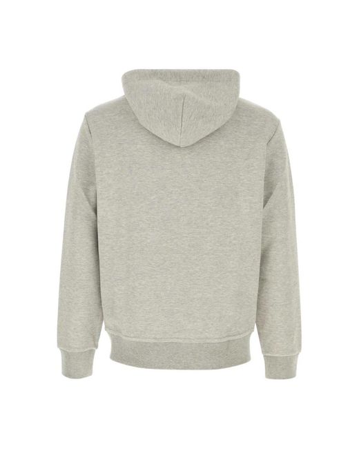 Polo Ralph Lauren Gray Hoodies for men
