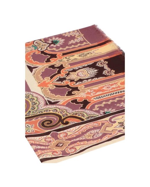 Etro Multicolor Winter Scarves