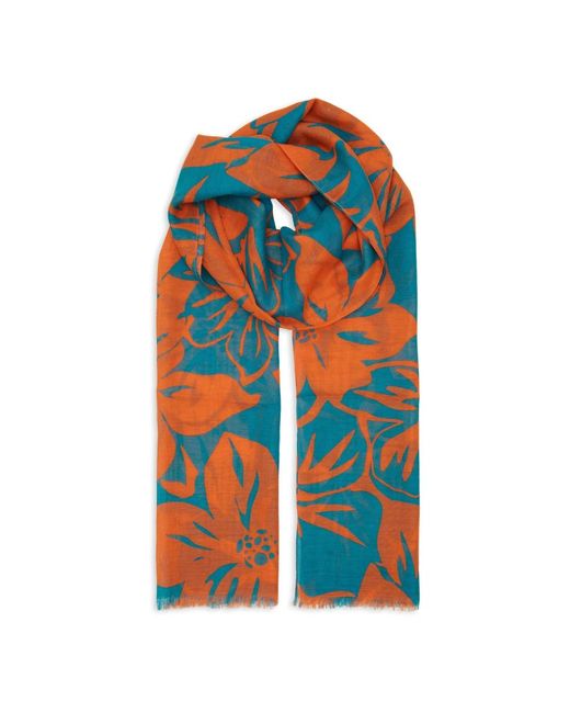 Scarves di Gallo in Blue