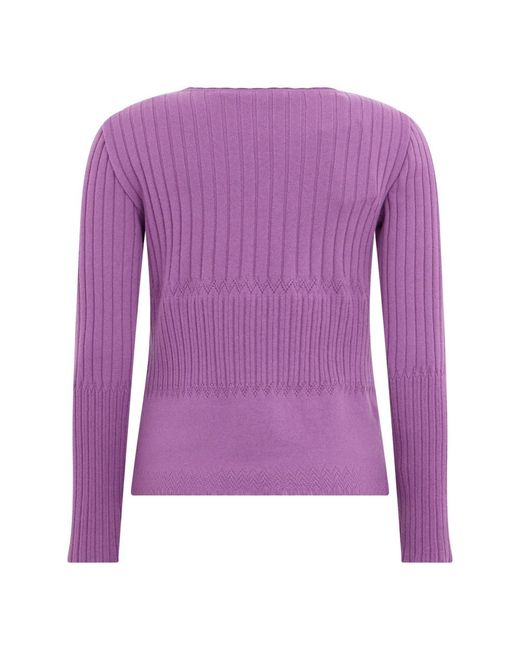 Alberta Ferretti Purple Round-Neck Knitwear
