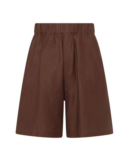 Laneus Brown Casual Shorts for men