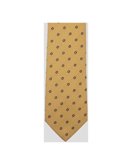 Luigi Borrelli Napoli Metallic Ties for men