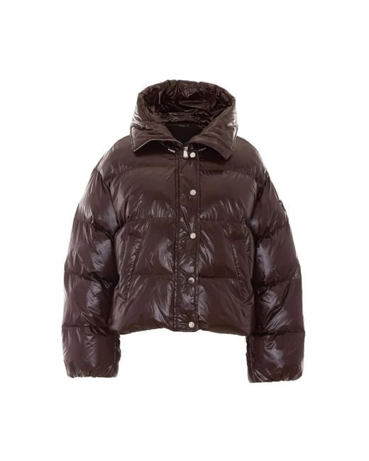 Winter Jackets Pinko de color Brown