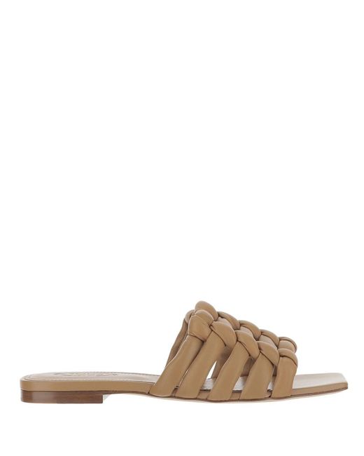 Tod's Brown Sliders