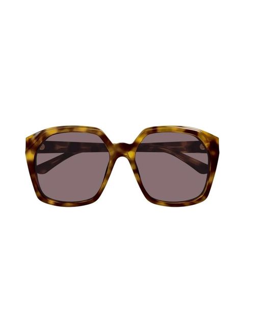 Chloé Brown Sunglasses