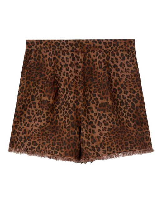 Mc2 Saint Barth Brown Short Shorts