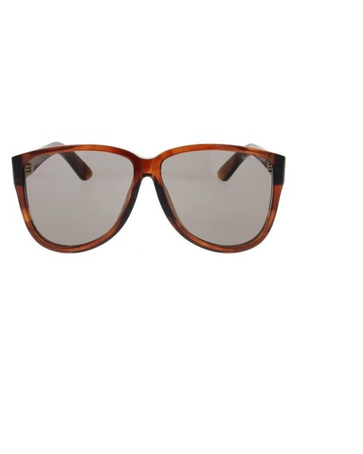 Miu Miu Brown Sunglasses