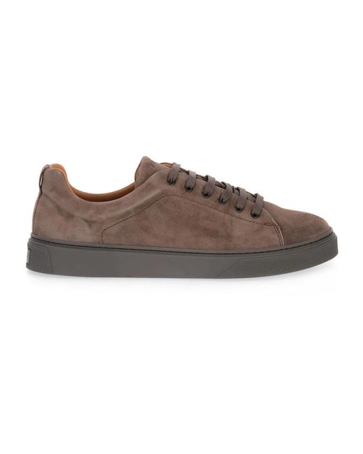 Frau Brown Laced Shoes for men