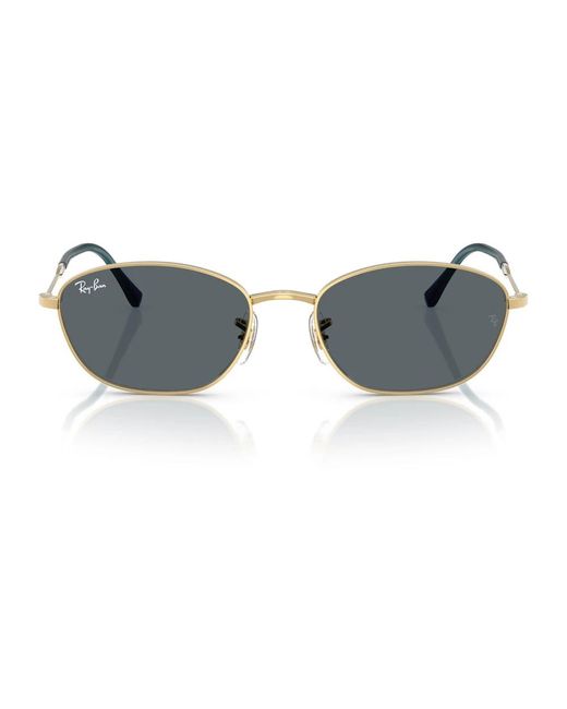 Ray-Ban Gray Sunglasses